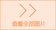 查看更多图片